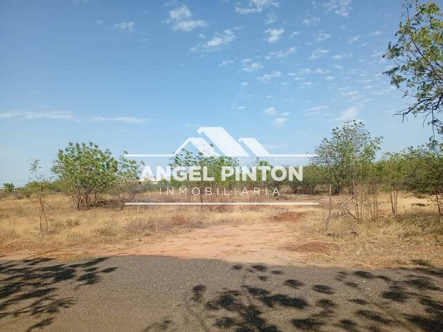 TERRENO para Venta en Maracaibo - 4