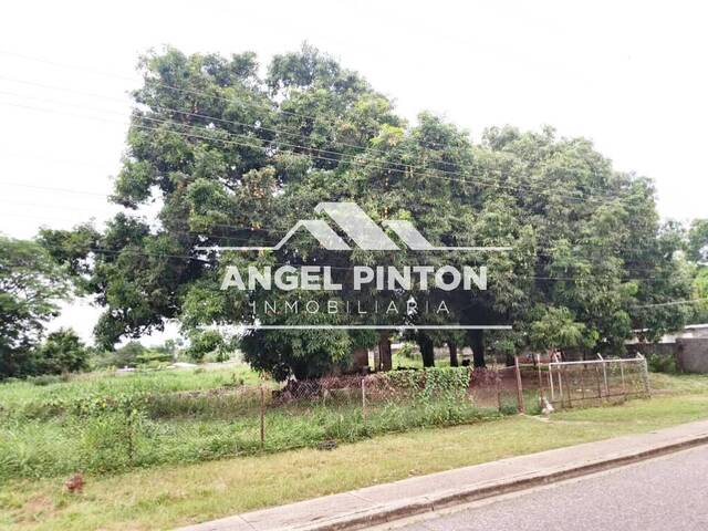 #94786 - TERRENO para Venta en Acarigua - P - 2
