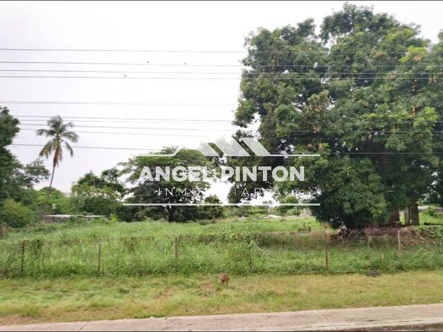 #94786 - TERRENO para Venta en Acarigua - P - 1