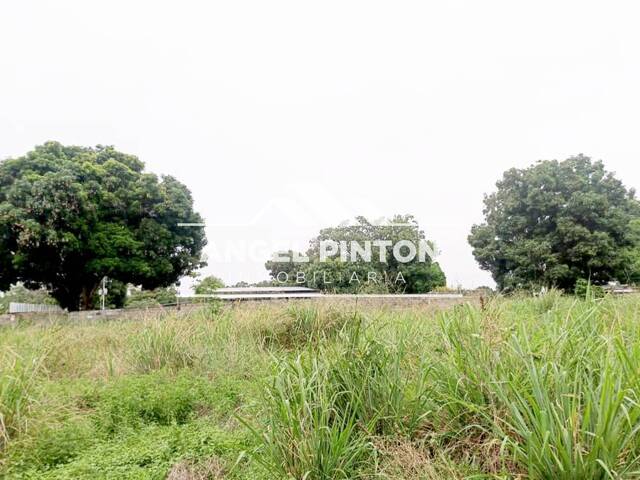 #94786 - TERRENO para Venta en Acarigua - P - 3