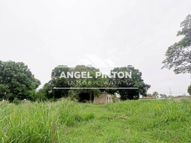 TERRENO para Venta en Acarigua - 4