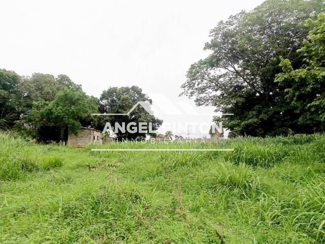 TERRENO para Venta en Acarigua - 5