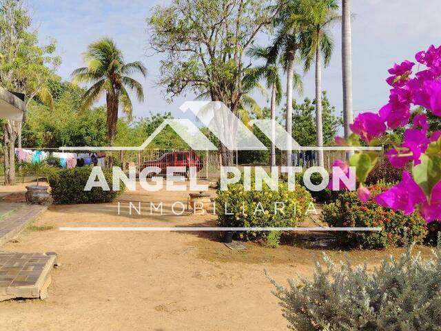 TERRENO para Venta en Maracaibo - 2
