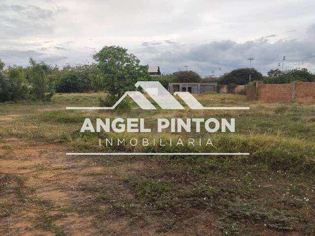 TERRENO para Venta en Maracaibo - 4