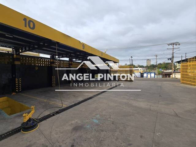 LOCAL COMERCIAL para Alquiler en Maracaibo - 2