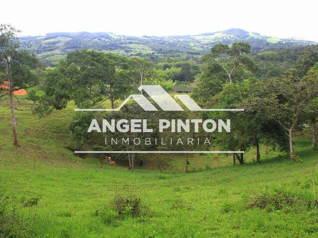 #9581 - GRANJA / FINCA para Venta en Cali - VAC - 3