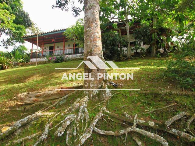 #9581 - GRANJA / FINCA para Venta en Cali - VAC - 1