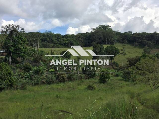 #9581 - GRANJA / FINCA para Venta en Cali - VAC - 2