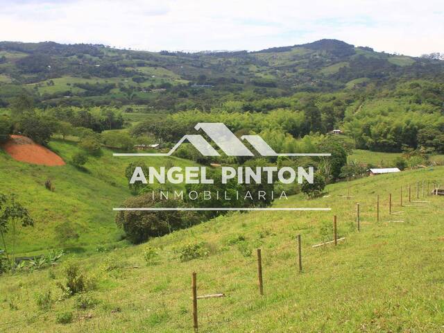 GRANJA / FINCA para Venta en Cali - 4