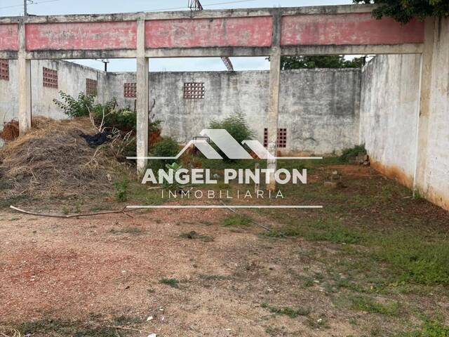 TERRENO para Alquiler en Maracaibo - 4