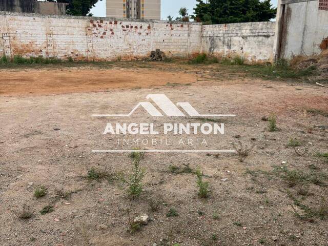 TERRENO para Alquiler en Maracaibo - 5