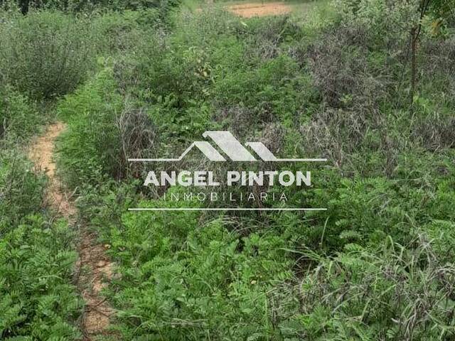 #9648 - TERRENO para Venta en Maracaibo - V - 2