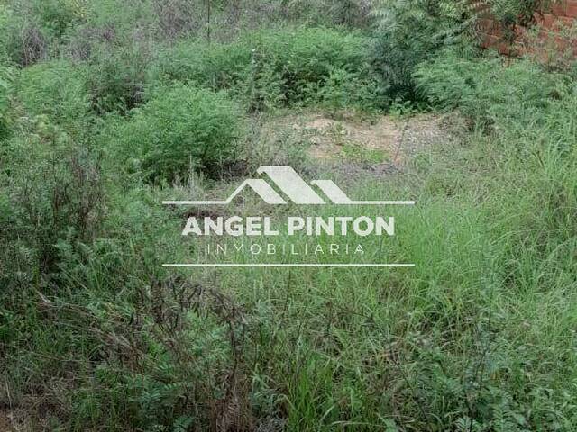 TERRENO para Venta en Maracaibo - 4