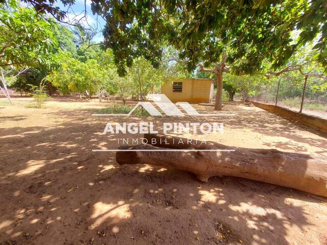 #96531 - GRANJA / FINCA para Venta en Maracaibo - V
