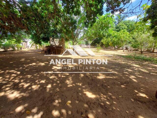 #96531 - GRANJA / FINCA para Venta en Maracaibo - V