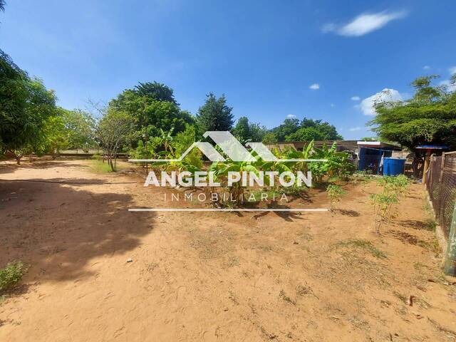 #96531 - GRANJA / FINCA para Venta en Maracaibo - V