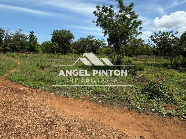 #9696 - TERRENO para Venta en Cabimas - V - 3