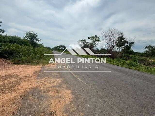#9699 - TERRENO para Venta en Maracaibo - V - 3