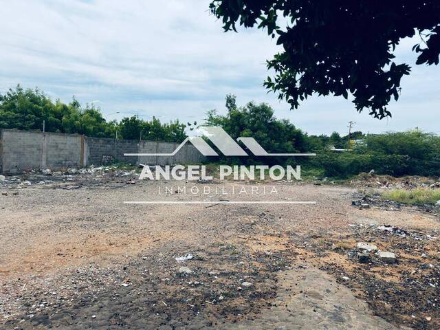 #9936 - TERRENO para Venta en Maracaibo - V - 1