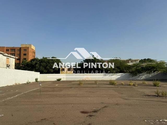 #9951 - TERRENO para Alquiler en Maracaibo - V - 3
