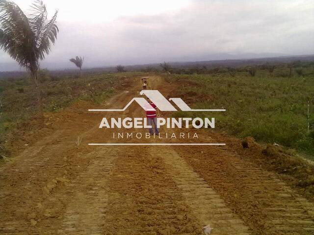 #91957 - TERRENO para Venta en Buenaventura - VAC - 1