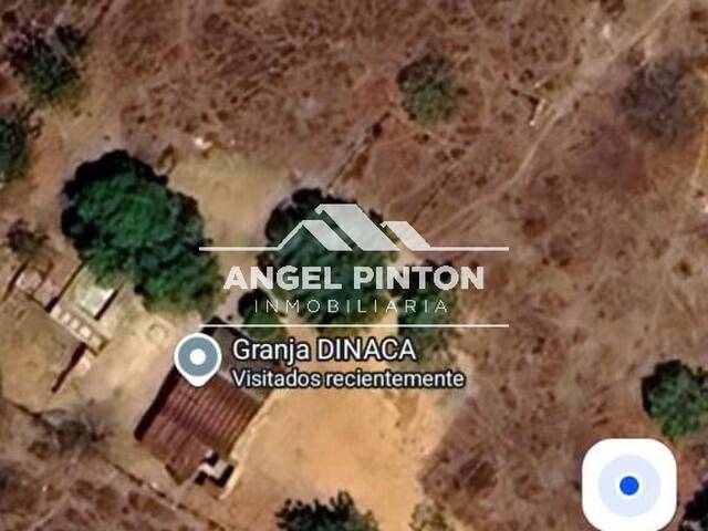 #10104 - GRANJA / FINCA para Venta en Maracaibo - V - 1