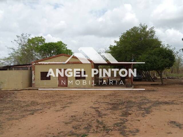 #10104 - GRANJA / FINCA para Venta en Maracaibo - V - 3
