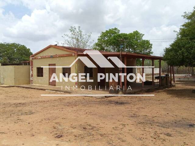 #10104 - GRANJA / FINCA para Venta en Maracaibo - V - 2