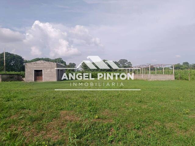 GRANJA / FINCA para Venta en Araure - 3