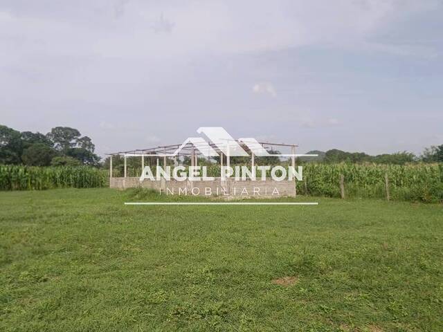 GRANJA / FINCA para Venta en Araure - 4