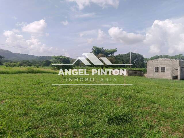 GRANJA / FINCA para Venta en Araure - 5