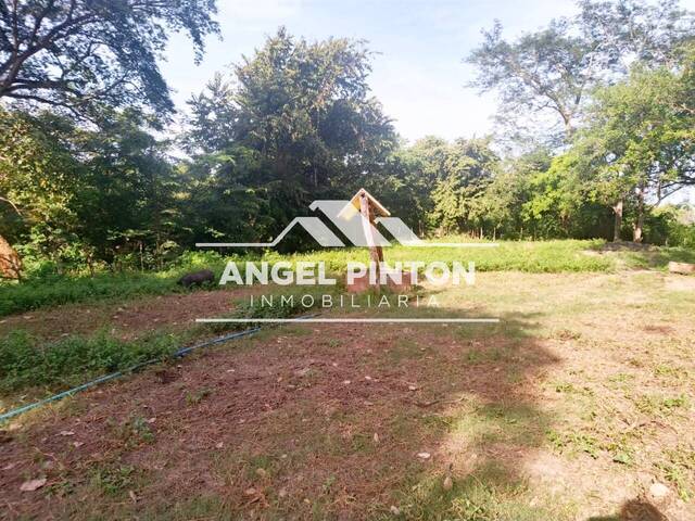 GRANJA / FINCA para Venta en Araure - 3