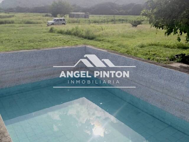 GRANJA / FINCA para Venta en Araure - 2
