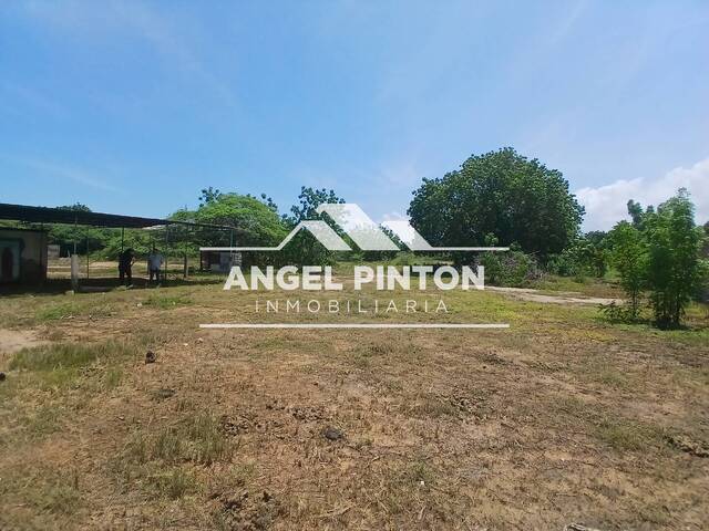 TERRENO para Venta en Santa Rita - 2