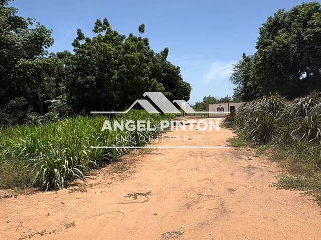 #10160 - TERRENO para Venta en Maracaibo - V - 2