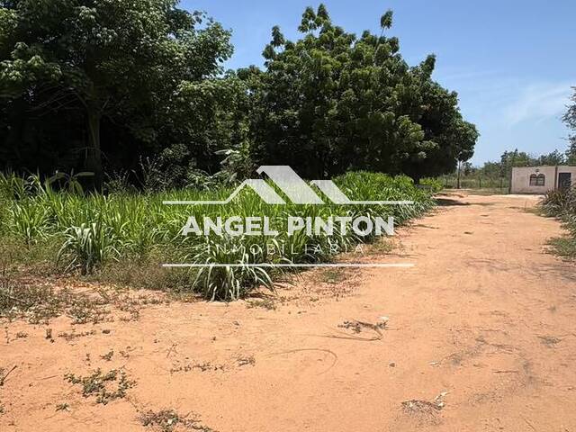 TERRENO para Venta en Maracaibo - 4