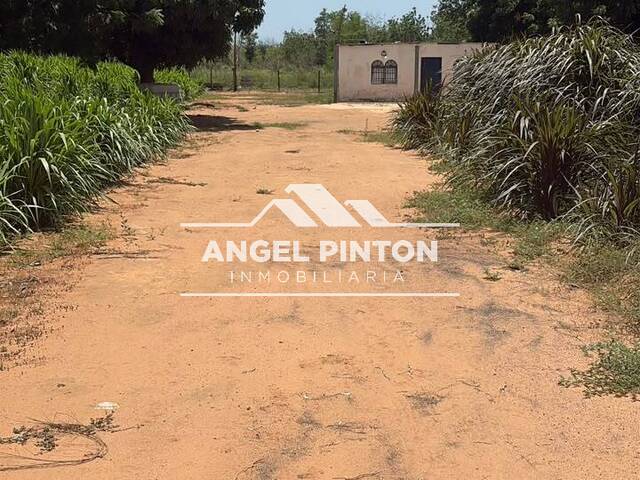 #10160 - TERRENO para Venta en Maracaibo - V - 1
