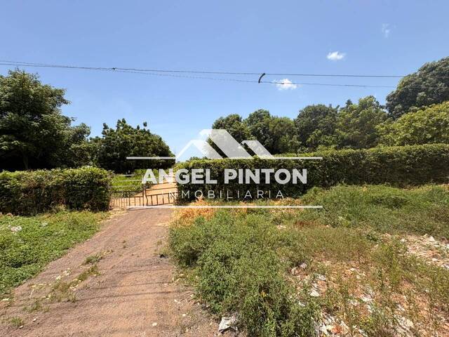 TERRENO para Venta en Maracaibo - 5