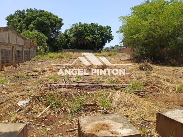TERRENO para Venta en Maracaibo - 4