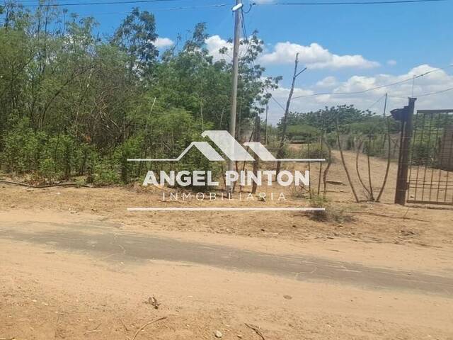 #10202 - TERRENO para Venta en Maracaibo - V - 1