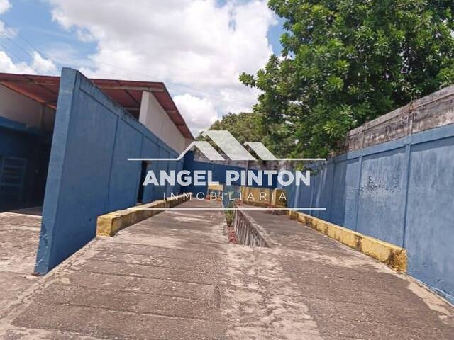 GALPÓN / BODEGA para Venta en Acarigua - 5