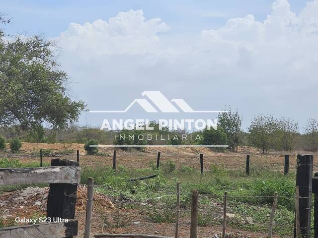 #10323 - GRANJA / FINCA para Venta en San Rafael del Moján - V - 3
