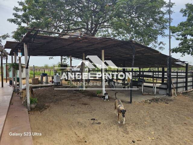 GRANJA / FINCA para Venta en San Rafael del Moján - 4