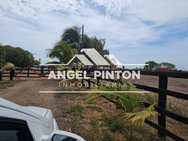 GRANJA / FINCA para Venta en San Rafael del Moján - 5