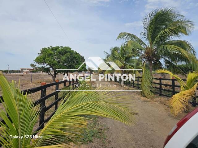 #10323 - GRANJA / FINCA para Venta en San Rafael del Moján - V - 1