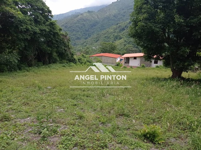 TERRENO para Venta en Valera - 5