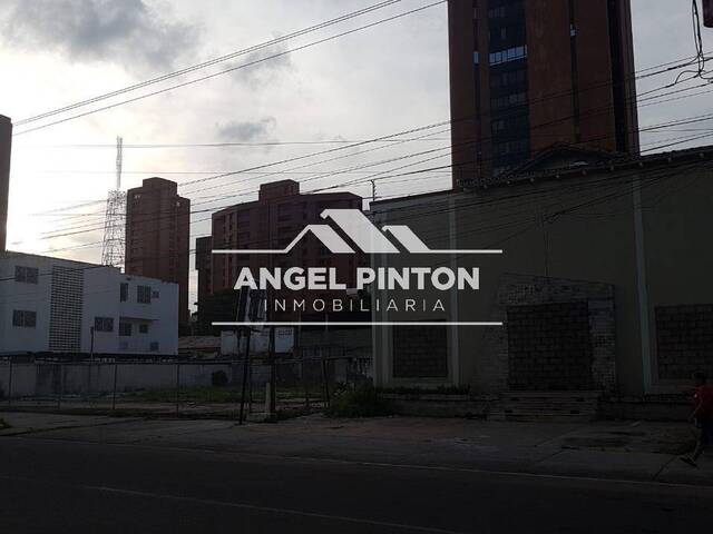 TERRENO para Alquiler en Maracaibo - 4